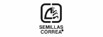 Logo Item