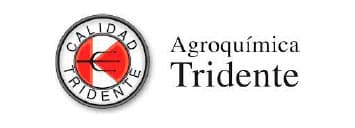 Logo Item